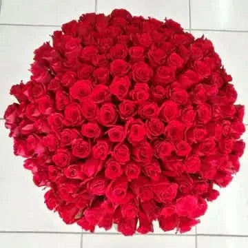 Velvet Embrace:Unisex Fragrance Gift Set